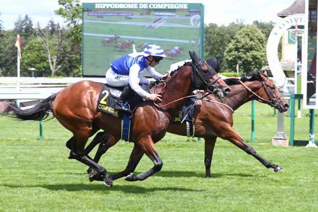 Photo d'arrivée de la course pmu PRIX DE LA CLAIRIERE DE L'ARMISTICE à COMPIEGNE le Mardi 9 juin 2026