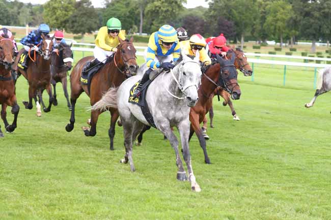 Photo d'arrivée de la course pmu PRIX DES TAMBOURAINES à COMPIEGNE le Mardi 9 juin 2026