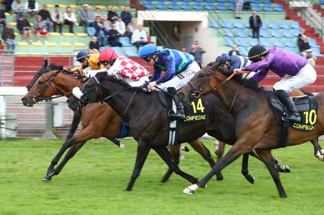 Photo d'arrivée de la course pmu PRIX DE TAILLEFONTAINE à COMPIEGNE le Mardi 9 juin 2026