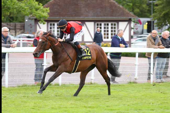 Photo d'arrivée de la course pmu PRIX DE LA FORET DE COMPIEGNE à COMPIEGNE le Mardi 9 juin 2026