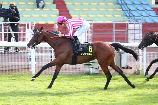 Photo d'arrivée de la course pmu PRIX DE L'OISE à COMPIEGNE le Mardi 9 juin 2026