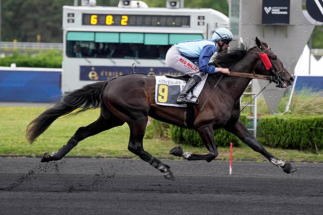 Photo d'arrivée de la course pmu PRIX AURIGA à PARIS-VINCENNES le Mardi 9 juin 2026