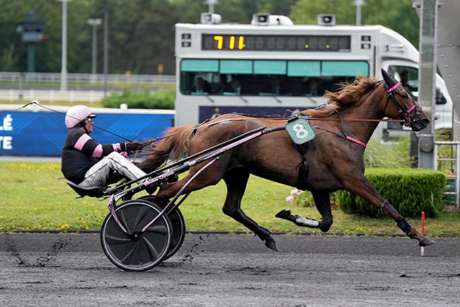 Photo d'arrivée de la course pmu PRIX PENELOPE à PARIS-VINCENNES le Mardi 9 juin 2026