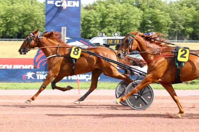 Photo d'arrivée de la course pmu PRIX DE CUVES à CAEN le Mercredi 10 juin 2026