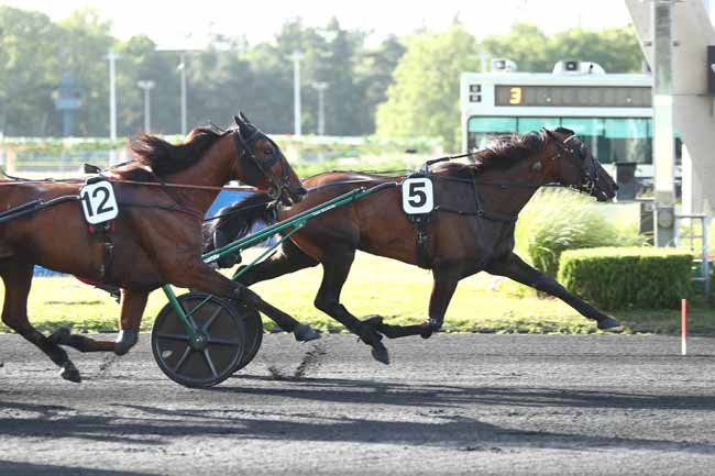 Photo d'arrivée de la course pmu PRIX LIGURIA à PARIS-VINCENNES le Vendredi 12 juin 2026