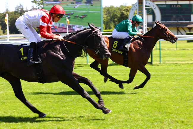 Photo d'arrivée de la course pmu PRIX DES HAMADRYADES à COMPIEGNE le Samedi 13 juin 2026