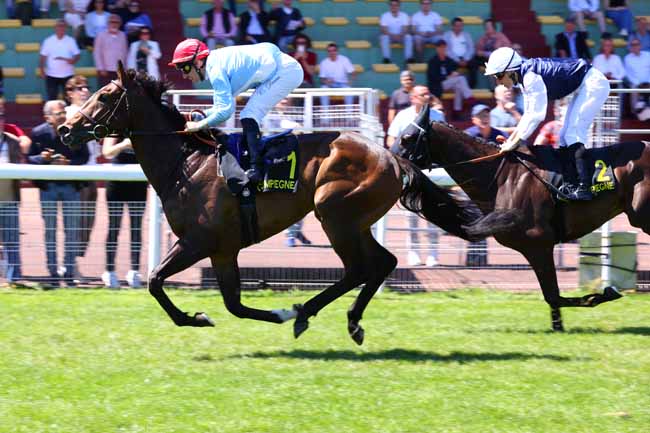 Photo d'arrivée de la course pmu PRIX DES ETANGS DE BATIGNY à COMPIEGNE le Samedi 13 juin 2026