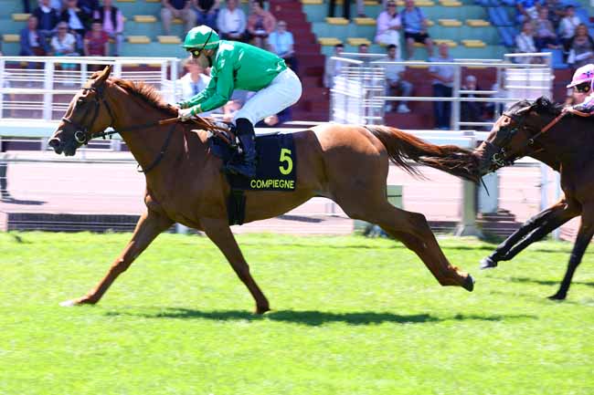 Photo d'arrivée de la course pmu PRIX DE LA GARDE IMPERIALE à COMPIEGNE le Samedi 13 juin 2026