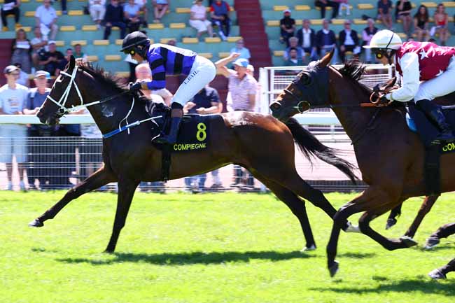 Photo d'arrivée de la course pmu PRIX DU PALAIS IMPERIAL à COMPIEGNE le Samedi 13 juin 2026