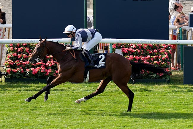 Photo d'arrivée de la course pmu PRIX DU LYS LONGINES à CHANTILLY le Dimanche 14 juin 2026