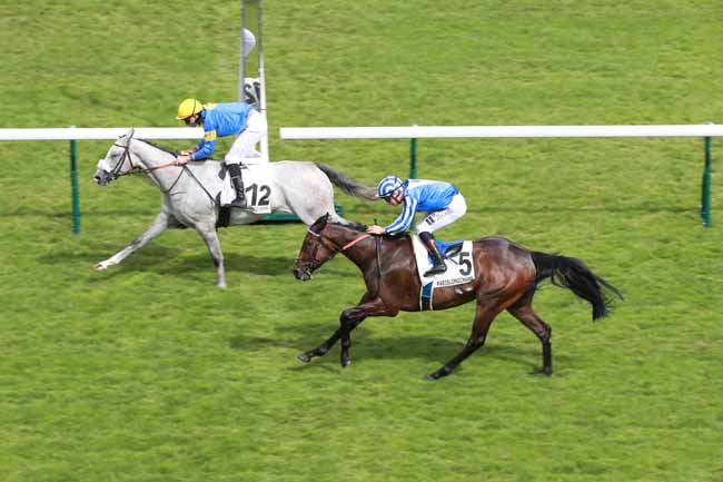 Photo d'arrivée de la course pmu PRIX DE LA GLACIERE à LONGCHAMP le Lundi 15 juin 2026