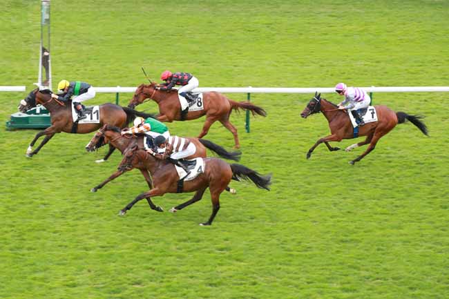 Photo d'arrivée de la course pmu PRIX DU JARDIN DE L'AVRE à LONGCHAMP le Lundi 15 juin 2026