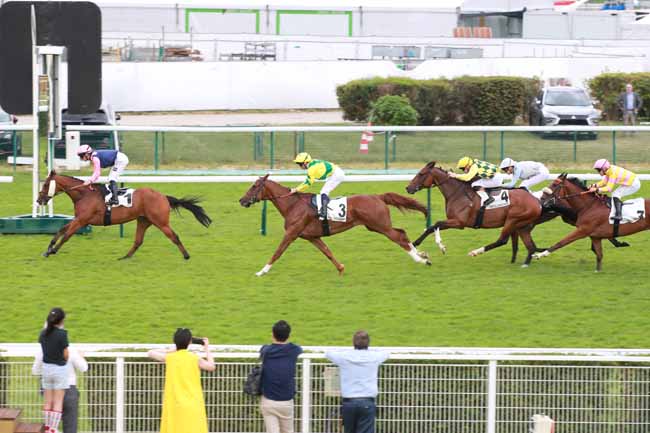 Photo d'arrivée de la course pmu PRIX DU PONT-AU-CHANGE à LONGCHAMP le Lundi 15 juin 2026