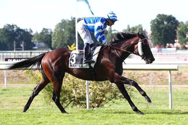 Photo d'arrivée de la course pmu PRIX DU DOCTEUR ROGER SIMON - PRIX DE LA GARDEN PARTY (PRIX AFTER WORK) à NANTES le Mardi 16 juin 2026