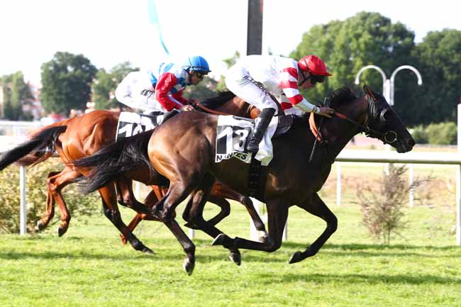 Photo d'arrivée de la course pmu PRIX KONE (PRIX BELLAMY) à NANTES le Mardi 16 juin 2026
