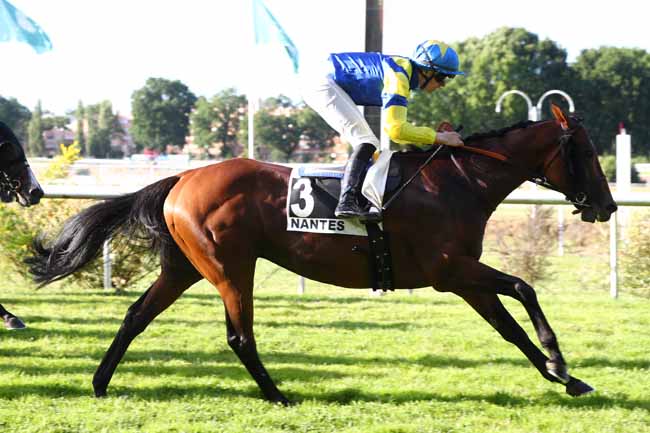 Photo d'arrivée de la course pmu PRIX SCHNEIDER PLOMBERIE NOZAY (PRIX DU PETIT-PORT) à NANTES le Mardi 16 juin 2026
