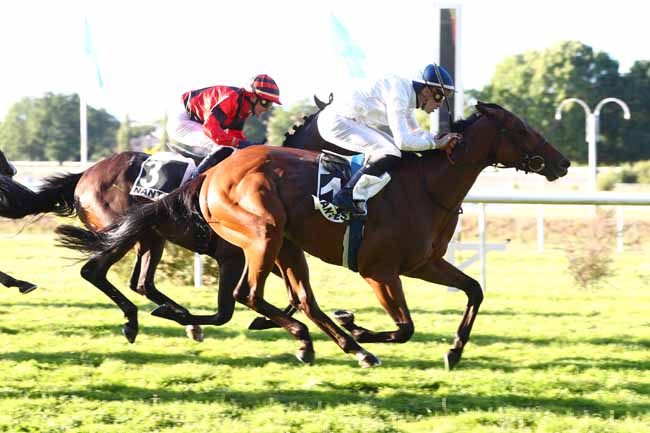 Photo d'arrivée de la course pmu PRIX SENEGALAIS (PRIX DES SORINIERES) à NANTES le Mardi 16 juin 2026