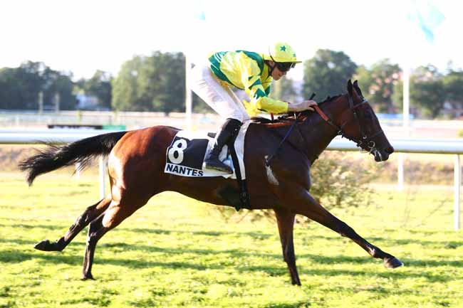 Photo d'arrivée de la course pmu PRIX BEAUJOIRE HOTEL (PRIX D'ANCENIS) à NANTES le Mardi 16 juin 2026