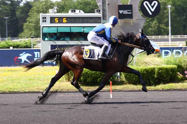 Photo d'arrivée de la course pmu PRIX SITA à PARIS-VINCENNES le Mardi 16 juin 2026