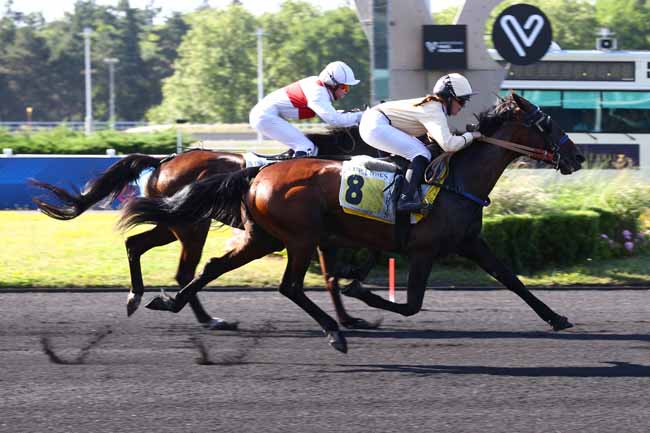 Photo d'arrivée de la course pmu PRIX HENRI DURAND à PARIS-VINCENNES le Mardi 16 juin 2026