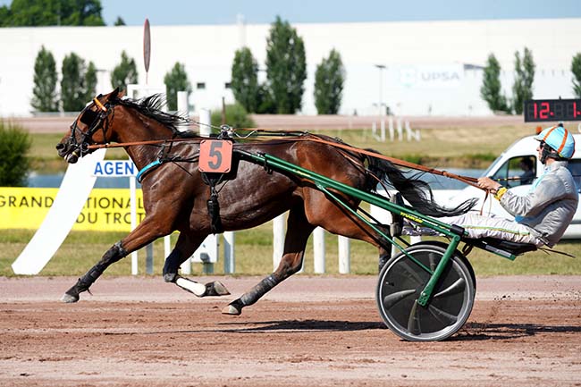 Photo d'arrivée de la course pmu PRIX D'AGEN à AGEN LE PASSAGE le Mercredi 17 juin 2026
