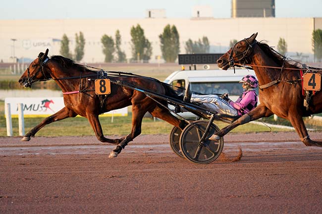 Photo d'arrivée de la course pmu PRIX DU TABAC PRESSE DU CENTRE à AGEN LE PASSAGE le Mercredi 17 juin 2026