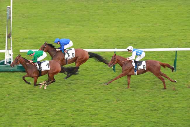 Photo d'arrivée de la course pmu PRIX DE THIBERVILLE à LONGCHAMP le Jeudi 18 juin 2026