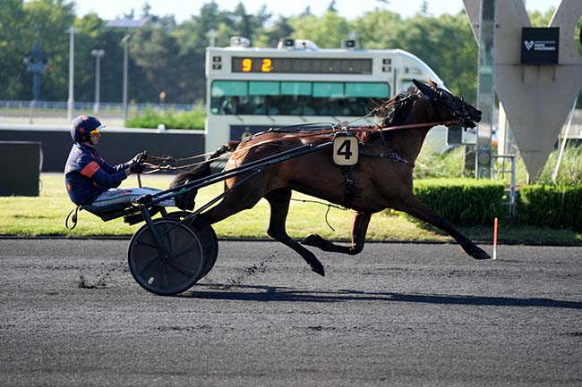 Photo d'arrivée de la course pmu PRIX MELPOMENE à PARIS-VINCENNES le Vendredi 19 juin 2026