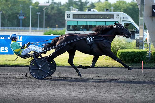 Photo d'arrivée de la course pmu PRIX CLEMENTINA à PARIS-VINCENNES le Vendredi 19 juin 2026