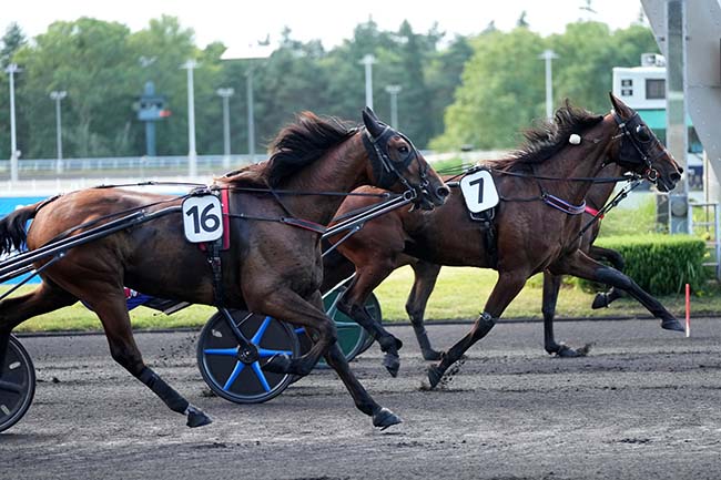 Photo d'arrivée de la course pmu PRIX OKDA à PARIS-VINCENNES le Vendredi 19 juin 2026