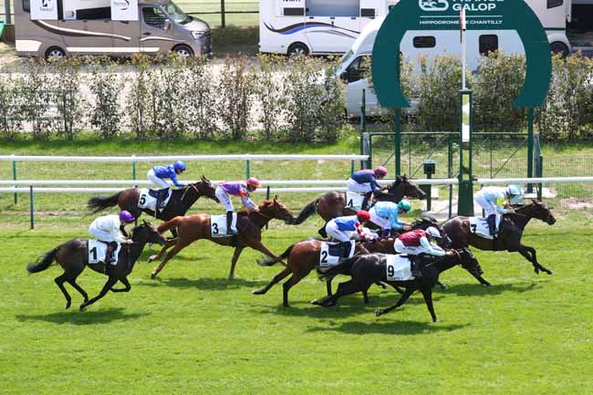 Photo d'arrivée de la course pmu PRIX DE LA CROIX DES VENEURS à CHANTILLY le Vendredi 19 juin 2026
