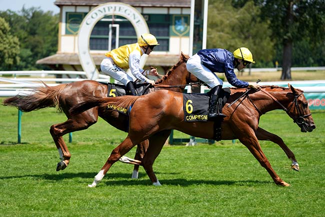 Photo d'arrivée de la course pmu PRIX PMU LE VILLAGEOIS A MONTMACQ (PRIX KARAKONTIE) à COMPIEGNE le Samedi 20 juin 2026