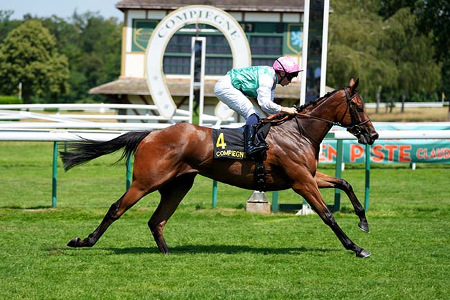 Photo d'arrivée de la course pmu PRIX DES BELLES DEMOISELLES à COMPIEGNE le Samedi 20 juin 2026
