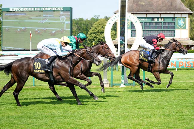 Photo d'arrivée de la course pmu PRIX DE SAINT-JEAN-AUX-BOIS à COMPIEGNE le Samedi 20 juin 2026