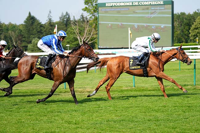 Photo d'arrivée de la course pmu PRIX FONDATION CLAUDE POMPIDOU (PRIX DES VESTALES) à COMPIEGNE le Samedi 20 juin 2026