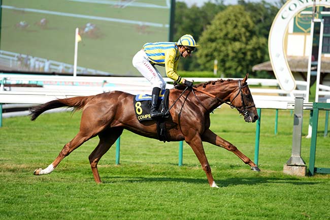 Photo d'arrivée de la course pmu PRIX AU-DELA DES PISTES à COMPIEGNE le Samedi 20 juin 2026