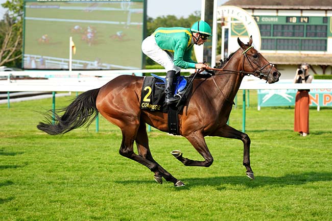 Photo d'arrivée de la course pmu PRIX DU LABEL EQUURES à COMPIEGNE le Samedi 20 juin 2026