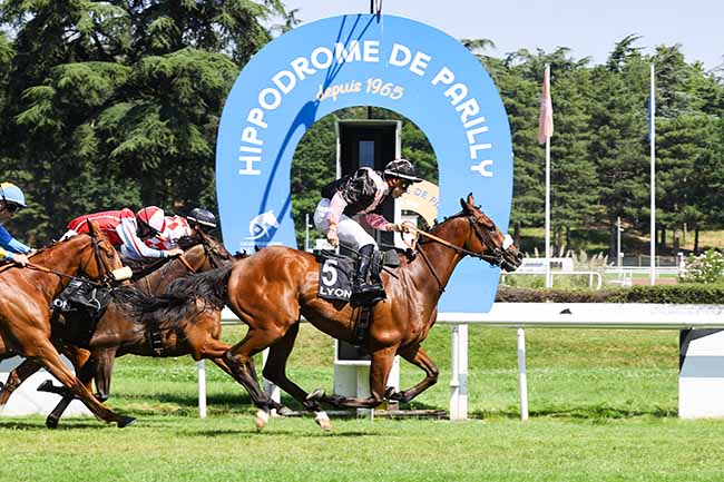 Photo d'arrivée de la course pmu PRIX DES AMIS DES HIPPODROMES LYONNAIS à LYON PARILLY le Lundi 22 juin 2026