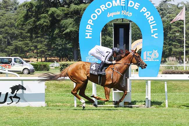 Photo d'arrivée de la course pmu FAURE TOURISME - PRIX DU CENTRE D'ENTRAINEMENT DE CHAZEY à LYON PARILLY le Lundi 22 juin 2026