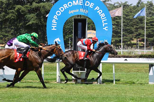 Arrivée quinté pmu PRIX DE LA FEDERATION DES COURSES DU CENTRE-EST à LYON PARILLY
