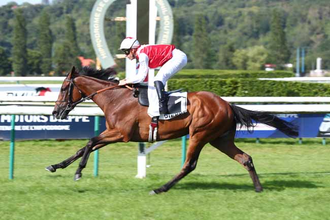 Photo d'arrivée de la course pmu PRIX DE VIOLETTE (PRIX COTE AUX HERONS) à DIEPPE le Mardi 23 juin 2026