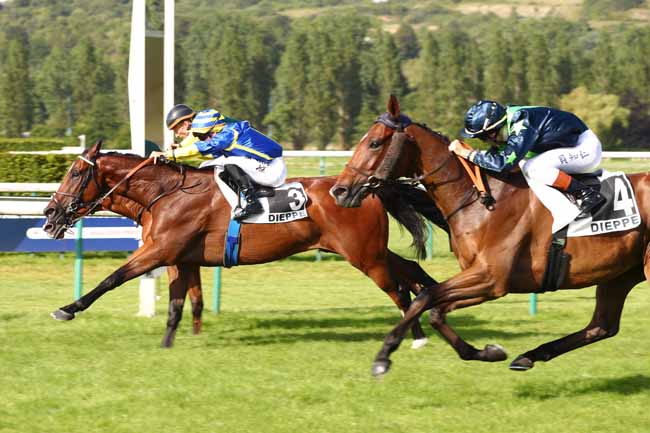 Photo d'arrivée de la course pmu PRIX DES IVOIRIERS à DIEPPE le Mardi 23 juin 2026