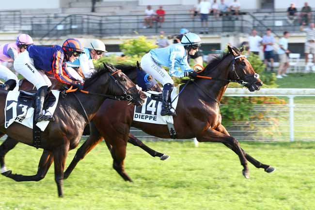 Photo d'arrivée de la course pmu PRIX GALORAMA (PRIX DE VIOLETTE) à DIEPPE le Mardi 23 juin 2026