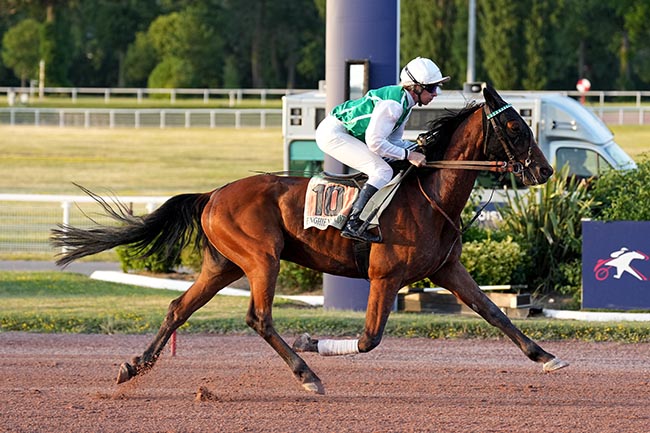 Photo d'arrivée de la course pmu PRIX SAPIENTIA à ENGHIEN le Mardi 23 juin 2026