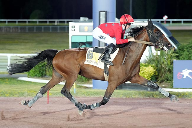 Photo d'arrivée de la course pmu PRIX ALGINA à ENGHIEN le Mardi 23 juin 2026