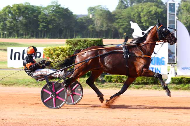 Photo d'arrivée de la course pmu PRIX REGION NORMANDIE - PRIX JEAN-YVES LECUYER à CHERBOURG le Mercredi 24 juin 2026