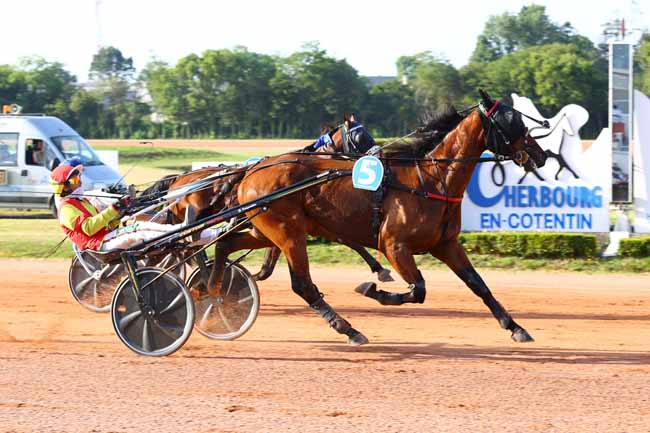 Photo d'arrivée de la course pmu PRIX LDI COULEURS DIFFUSION - VALOGNES à CHERBOURG le Mercredi 24 juin 2026