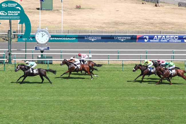Photo d'arrivée de la course pmu PRIX DE L'ALLEE DE LA PLAINE à CHANTILLY le Mercredi 24 juin 2026