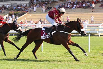 Photo d'arrivée de la course pmu REVE LA BOUTIQUE - 10 ANS A CLAIREFONTAINE (PRIX COUREUSE DE NUIT) à CLAIREFONTAINE le Mercredi 24 juin 2026