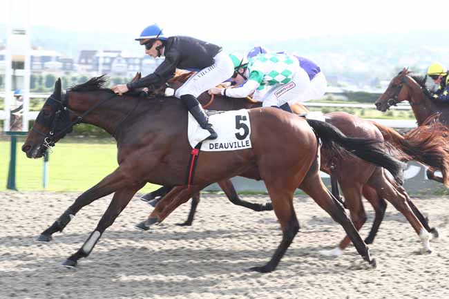 Photo d'arrivée de la course pmu PRIX DU POLYGONE à DEAUVILLE le Vendredi 26 juin 2026